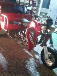 ستوتة • موديل 2019 • اوراق كاملة