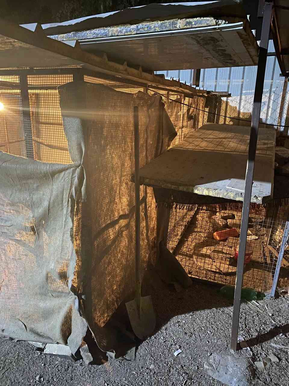 سلام عليكم 
اقفاص حديد للبيع
واحد ارتفاع ٣م وعرض ٣م 
واحد ارتفاع ٣ متر عرض ٤م
واحد ارتفاع متر وعمق ٢ك
***********
حي المشتل (حصن جعفر)
