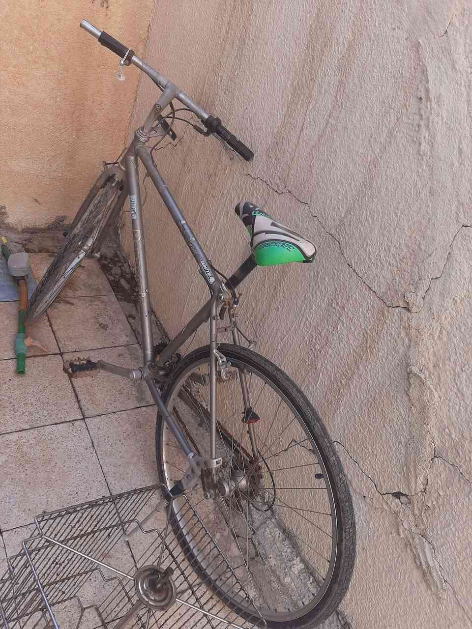 للبيع موصل حي الانتصار قرب أسواق حسام تعال قيم


**إذا كنت صاحب هذا الإعلان وتريد حذفه لأي سبب، رجاءا أرسل رسالة إلى الدعم الفني**