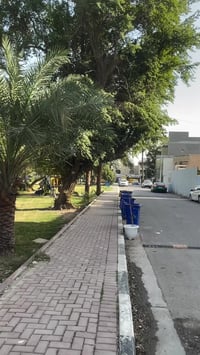 شركة علي شوقي للاستثمار و التطوير العقاري   بيـــــع - شــــراء - بــن...