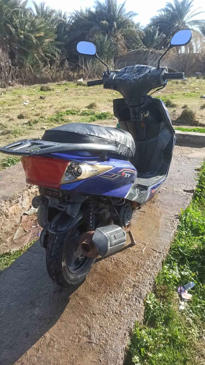 السلام عليكم سكنس 6x للبيع موديل 21 مكينه برغي مامفتوح بيها السعر 400 متواجد ماسنجر ***********
