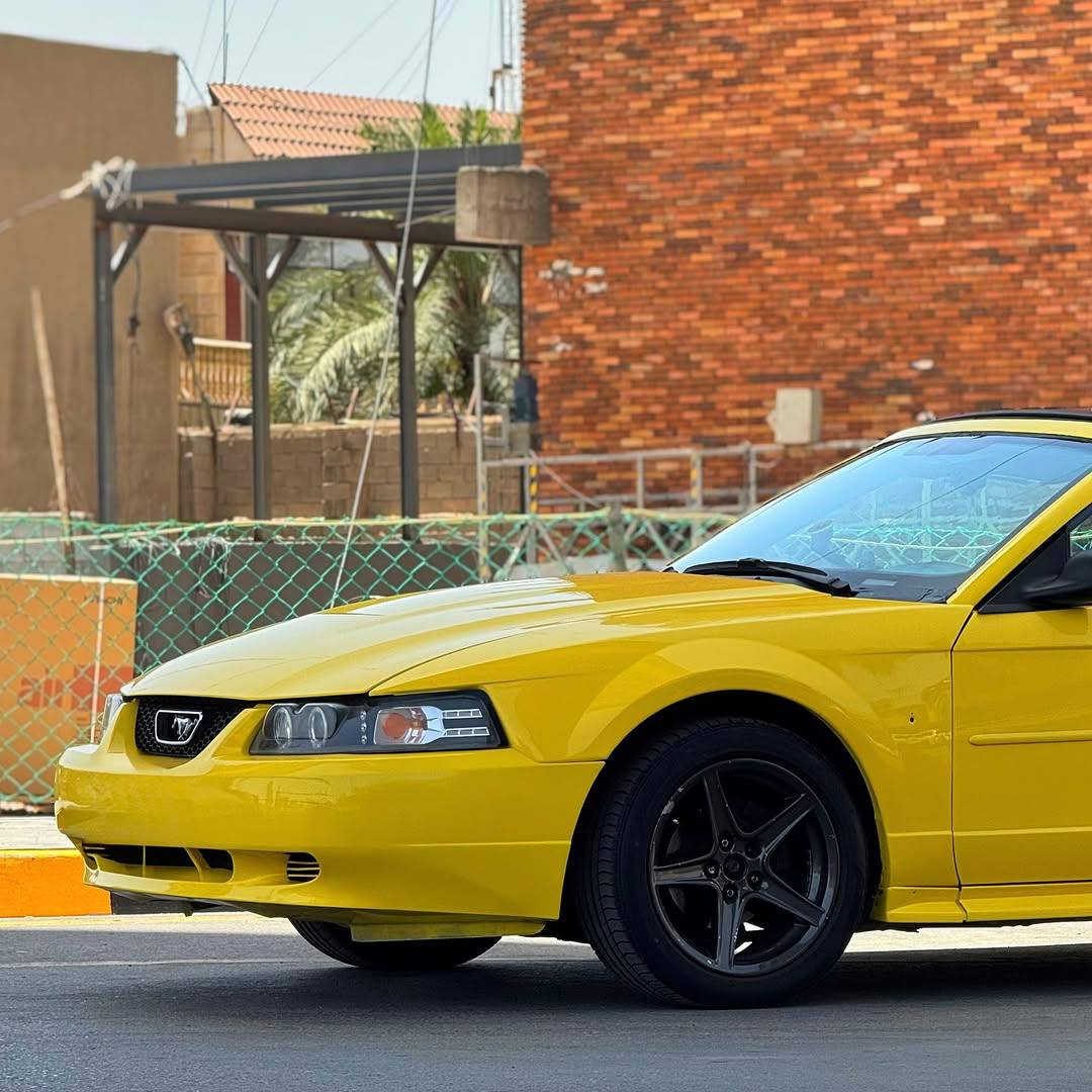 السلام عليكم
Ford mustang 2002 🐎
-V6 3.8L 
وين إلي يدور انتيكا الوحيده بلعراق 
فول مواصفات مثل 
كشف شغال
كشن كهرباء 
تبريد بلادي
شاشة وغيرها 
صبغ عام للجمالية 
مكفولة من الضربة والكصة
تخم تاير وتخم ويل رياضي 17
سياره جاهزه عله حبايه ونص 
السيارة مجددة بل كامل بدون نقوصات 
السعر 75 ورقة السيارة بيها مجال بيع ومراوس 
كفاله كير ومكينه جدد بمعنى الكلمة 
ابيع كوم حديد اكفل سرقه وعشاير وكص 
للتواصل: ***********
مكانها البصرة
