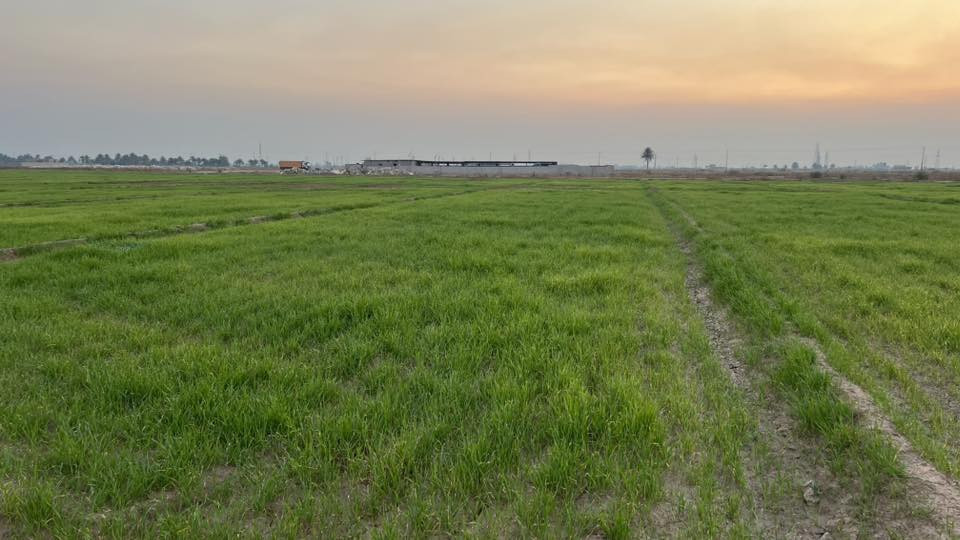 قطعة ارض زراعي للبيع 20 دونم
الموقع خلف منطقة الخنساء
***********
