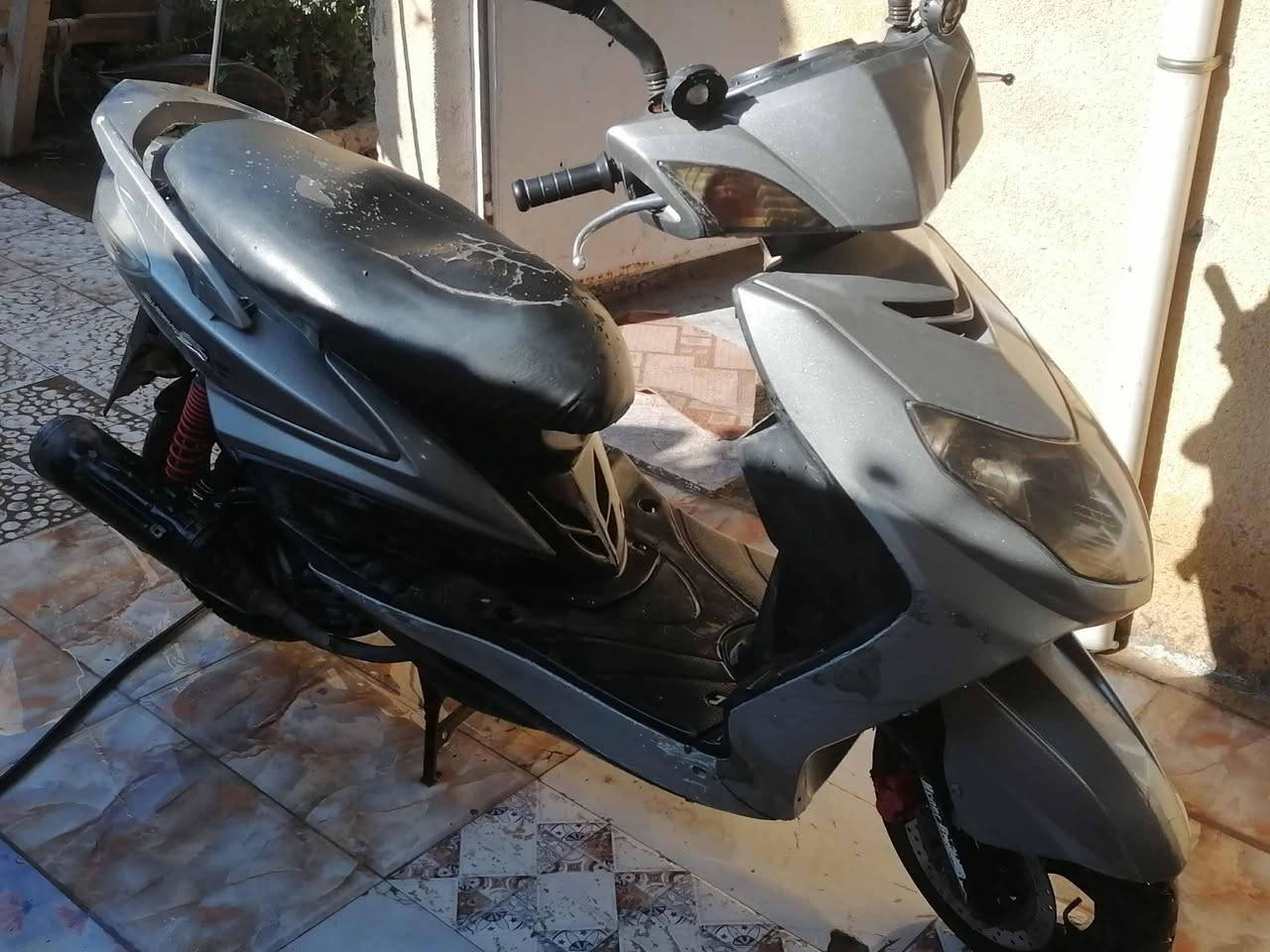 سلام عليكم سكنس فحل للبيع او مراوس حسب القناعه مكاني ديالى تحرير 
الاستفسار 
***********
