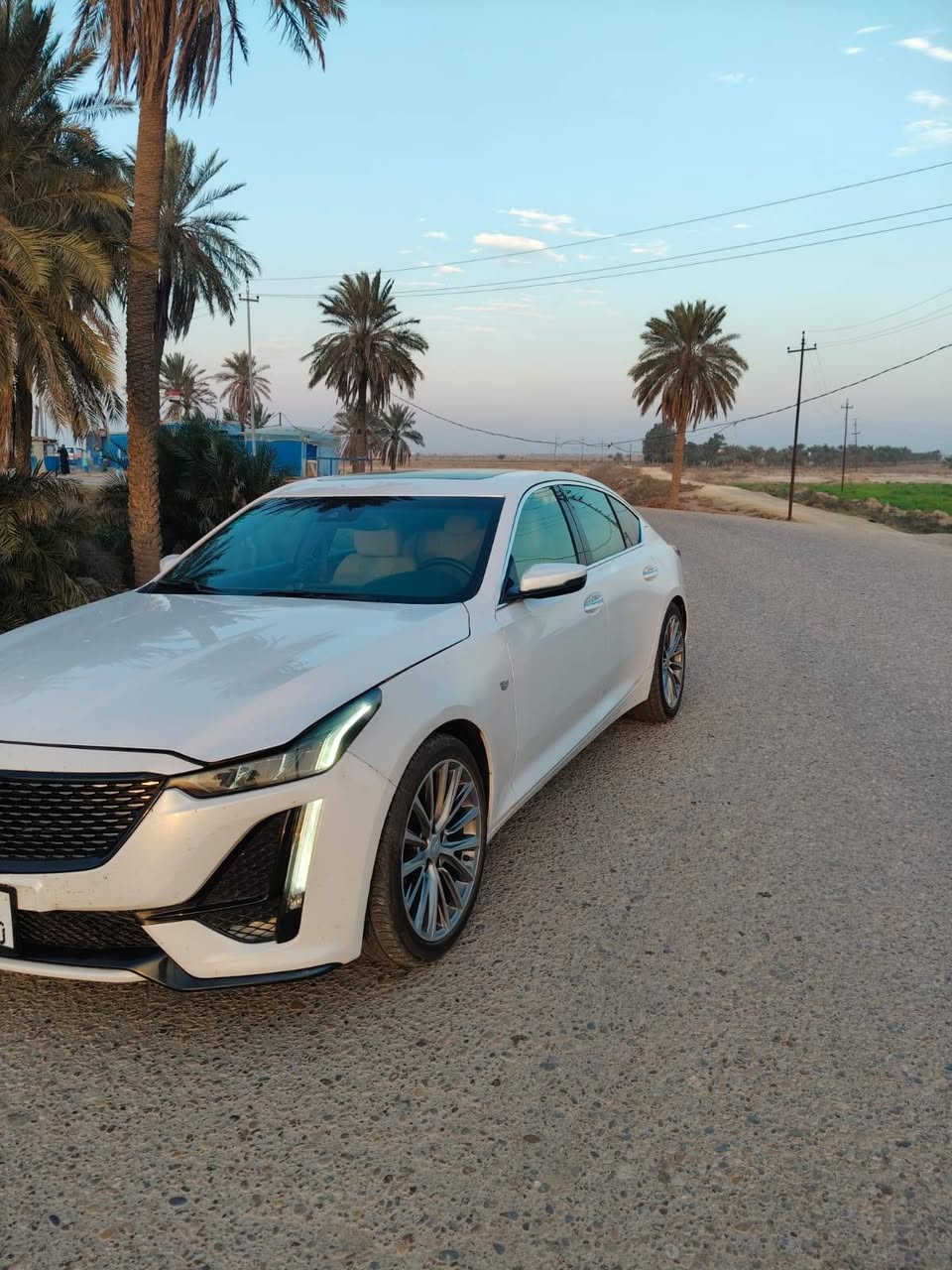 كديلاك 2021
رقم بغداد 
فول مواصفات 
حادثها قطعتين جاملغ 
ماشيه 51
مكينه 2000 تيربو مكانها ميسان 
السعر 175 $ وبيها مجال 
التواصل ***********
