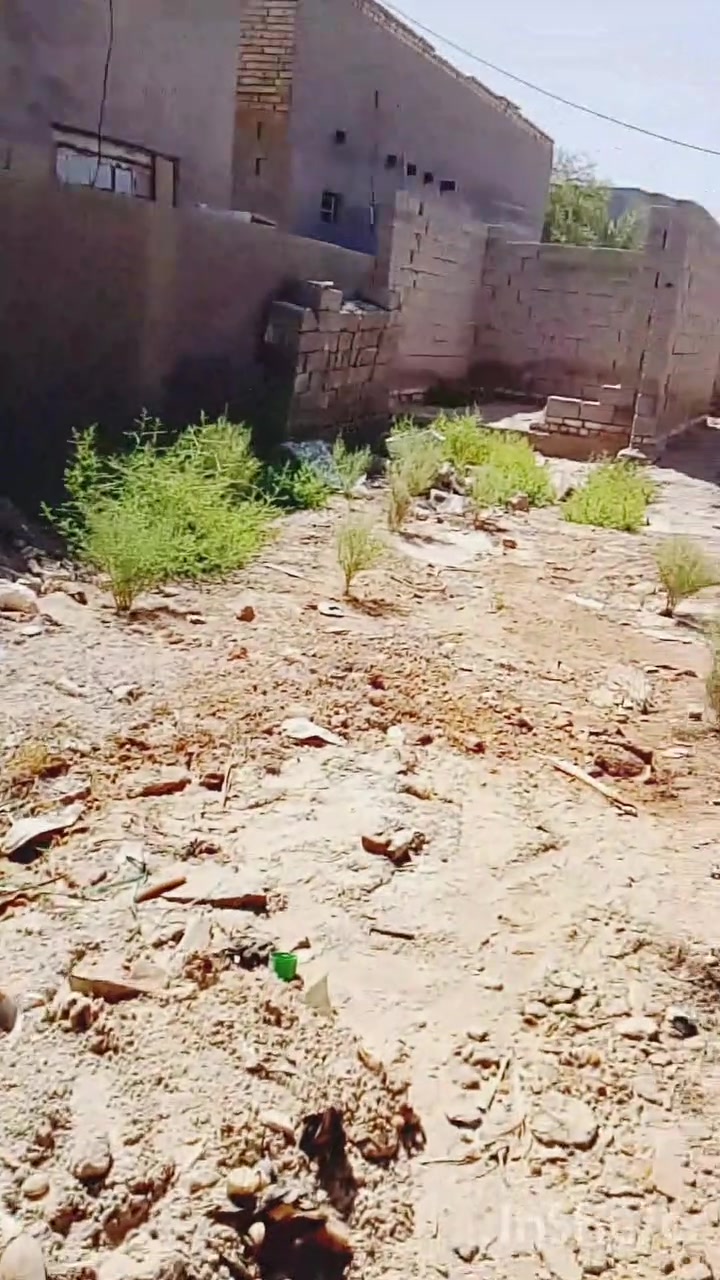 سلام عليكم يوجد هيكل للبيع وللمراوس مساحت القطعه اربعميه تقريبن بيه غرفتين 4/5 وصاله ومطبخ 4/4 وستقبال وحمام بنيان بلوك  مجعب ومبني سافين فوك جعب ومدفون صلاح زراعي حي متكامل مي بلباب وكهرباء ومولد سحب قريبه بدايت طريق البو مصطفئ وره شاكريه المعرفه تفاصيل اكثر خاص او وتساب ‏‪***********‬‏
