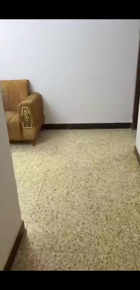 🔹 شقة للإيجار – المنصور / حي دراغ / محلة 603 🔹
🏠 طابق اول – مؤثثة
✅ غرفة نوم
✅ صالة
✅ مطبخ
✅ حمام
✅ منور
✅ سبالت (مكيفات)
💰 الإيجار: 650 ألف دينار شهريًا وقابل للتفاوض
📞 للاستفسار والحجز:
***********
أهلاً وسهلاً بالجميع، وللاستفسار يرجى الاتصال على الرقم أعلاه.

