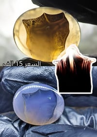 اللهم صل على محمد و ال محمد للحجز والتواصل واتساب (07883233366)