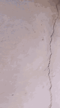 غسل وتنشيف الزوالي يوجد خدمة توصيل *********** المتر الف صار
