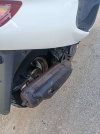 فحل ماكس • مكفول • نجف حي الغري