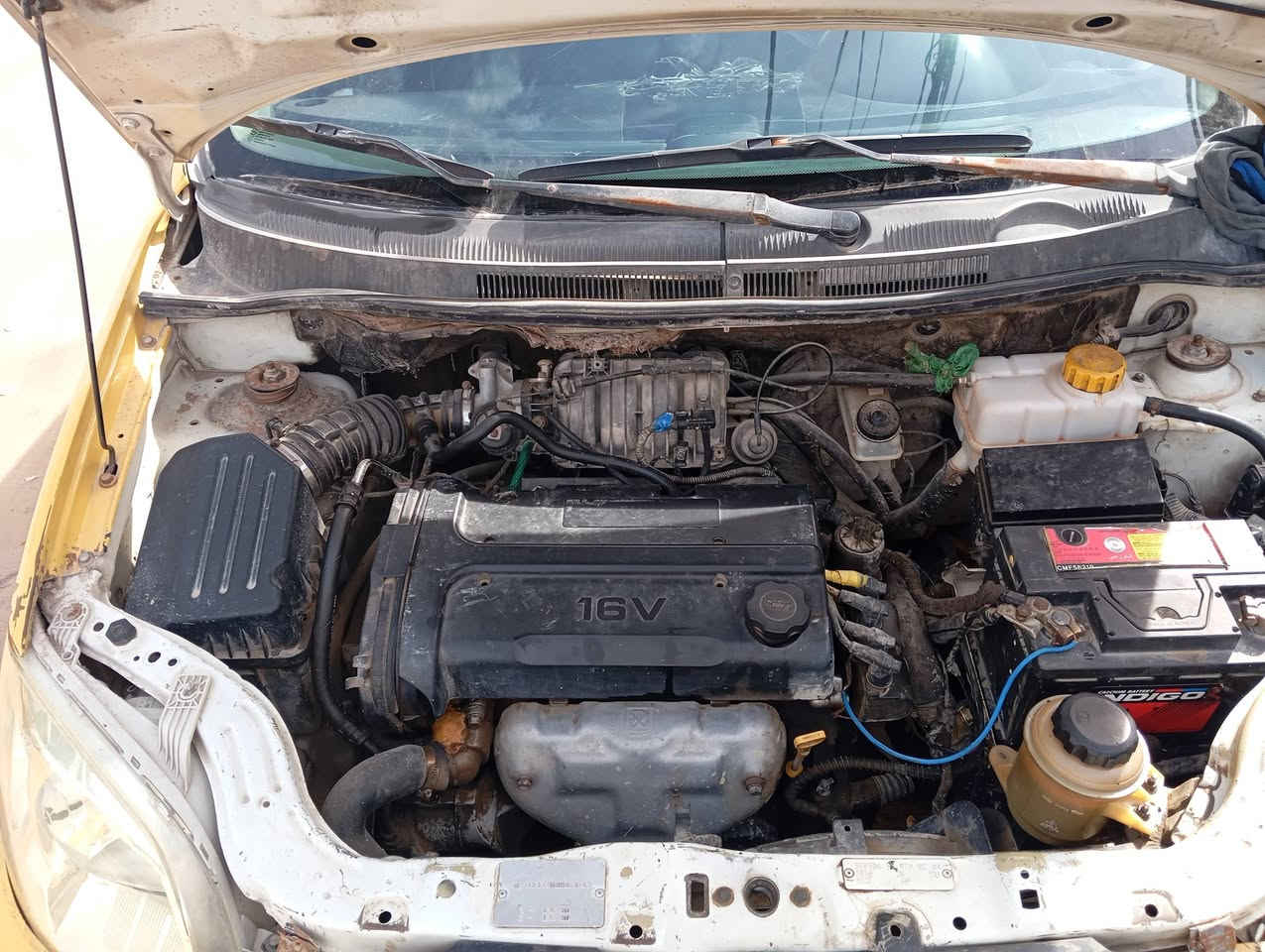 السلام عليكم افيو  2008 للبيع سعر48  رقم نجف انكليزي شرط المداور بيع او مراوس مكانه كوفة عباسية 
*********** @***********
