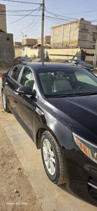 اوبتيما امريكي • ٢٠١٦ • الديوانية