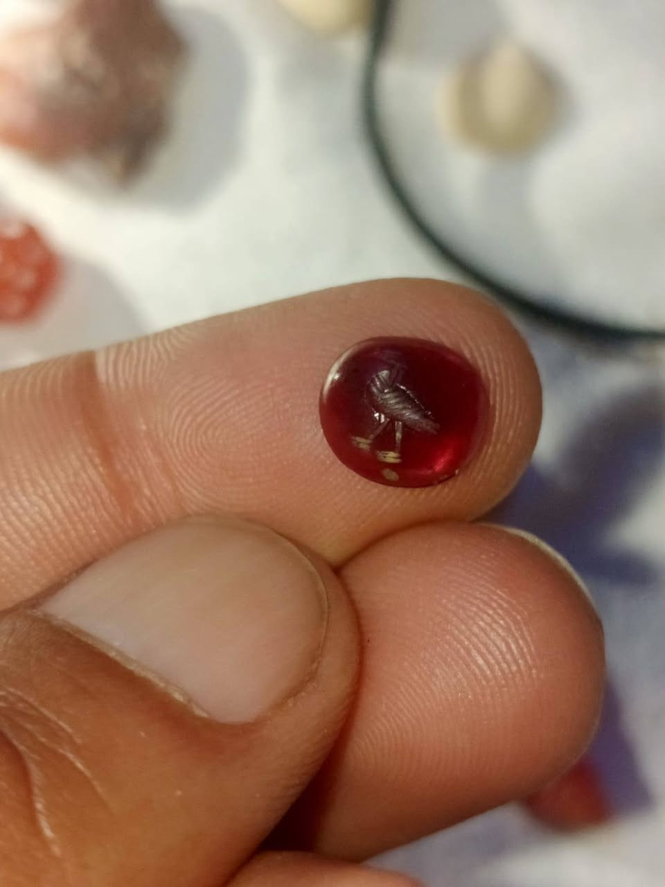 شضره ياقوت كأسيه ملاكط الزريجي


**إذا كنت صاحب هذا الإعلان وتريد حذفه لأي سبب، رجاءا أرسل رسالة إلى الدعم الفني**