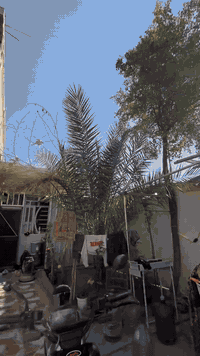 450بيها مجال حك الجيه بغداد الأمين الثانيه 07766450595