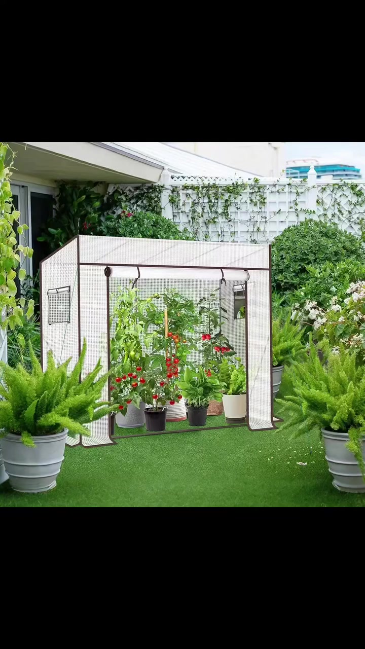 دفيئة سيكي لزراعة الطماطم، مقاس كبير جدًا، موديل دفيئة تامارا جاردن لنباتات الطماطم، إطار أبيض ٢٠٠×٧٧×١٤٦/١٧٠ سم
#هاشتاك ملاك علي للبضائع الاوربية @إشارة


**إذا كنت صاحب هذا الإعلان وتريد حذفه لأي سبب، رجاءا أرسل رسالة إلى الدعم الفني**