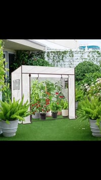 دفيئة • زراعة طماطم • ٢٠٠×٧٧×١٤٦/١٧٠