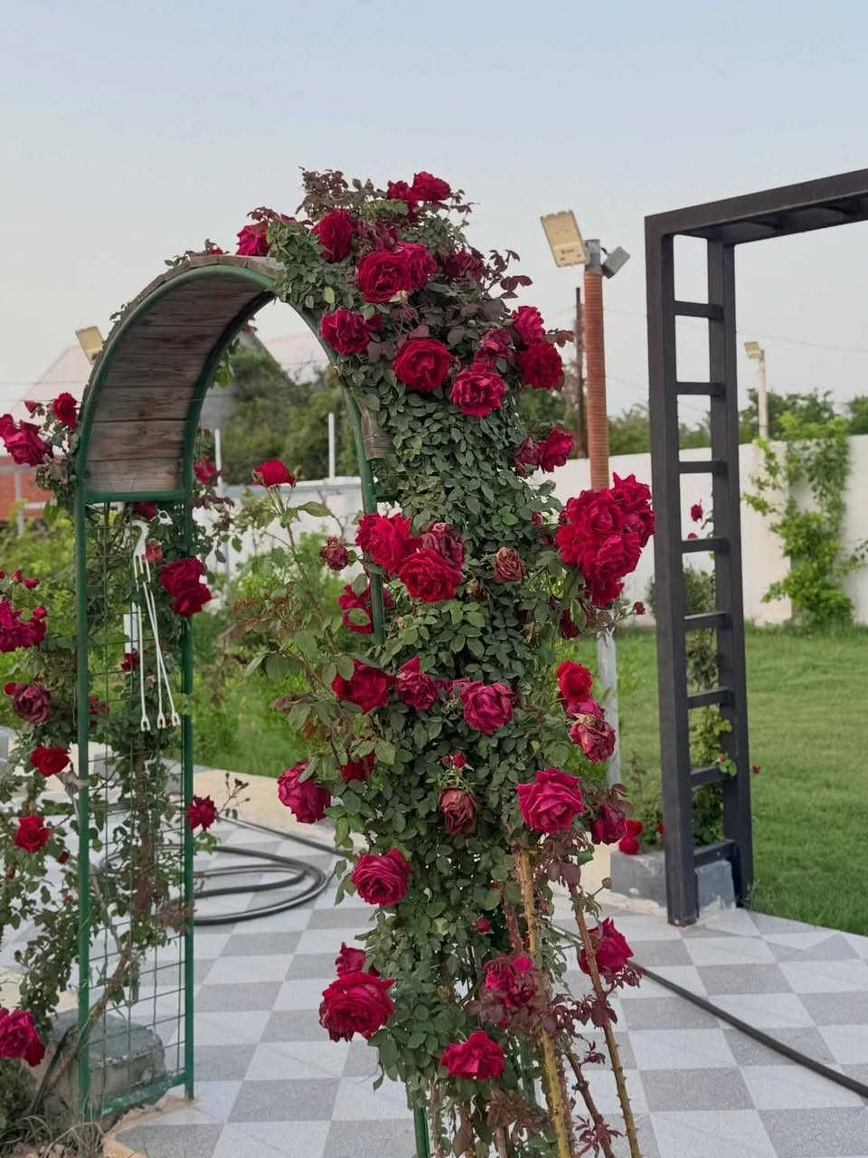 إذا لحد الآن ما جربتوا💚مزررعه عشق💚
فأنتم فعلًا فاتكم مكان يستحق الزيارة ✨

من أول لحظة تدخل للمكان تحس براحة وونس غير،
وكل تفصيل بي يخليك تستمتع بوقتك بدون ما تحس شكد الوقت مر بسرعة 🌿

الأجواء مرتبة، المكان يفتح النفس، والجمعة هناك إلها طعم مختلف فعلًا 🤍
مو مجرد مكان تقضي بي وقت… لا، تجربة كاملة تخليك تطلع مرتاح وتفكر ترجع مرة ثانية.

لهذا إذا تدورون مكان يغير جوكم ويخلي يومكم أحلى،
فـ مزرعة عشق تستحق تكون وجهتكم الجاية 🔥

📍 صلاح الدين – قضاء بلد
📞 ***********
✨ بعض الأماكن تنزار مرة… إلا عشق، تنحب من أول تجربة✨
