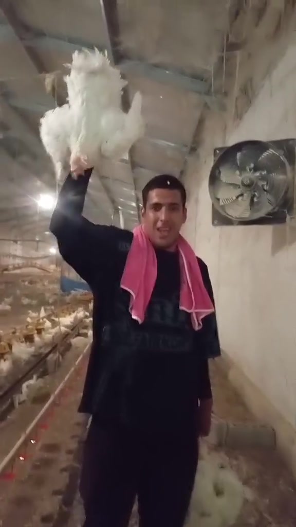 سلام عليكم دجاج البيع مناسب 4ب10 الف جمله يختلف السعر بكاني ديالى هبهب توصيل عنتي علا هاث الرقم ***********

