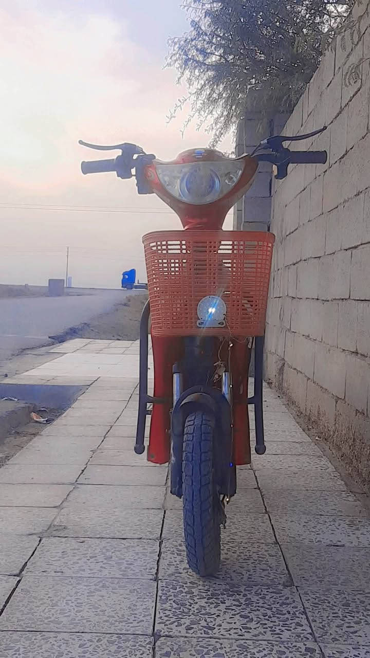 السلام عليكم دراجه شحن للبيع او مراوس بيسكل وجملني ١١٠ الف حسب نضافت لبيسكل وسعر لدراجه ٢٥٠وبها مجال شغاله كلش مابيها


**إذا كنت صاحب هذا الإعلان وتريد حذفه لأي سبب، رجاءا أرسل رسالة إلى الدعم الفني**