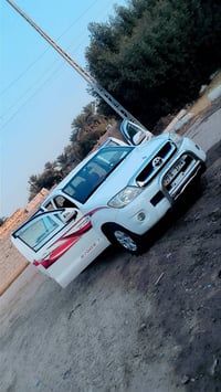 فلاونزه • ٢٠١٠ • الدوانيه