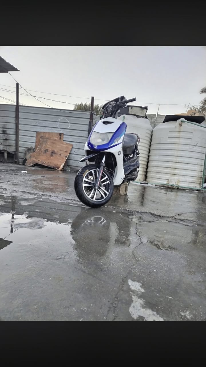 السلام عليكم سكنس للبيع او مراوس تفاصيل بالصور الخاص بغداد الدوره درهم مراوس. حسب القناعه.***********
