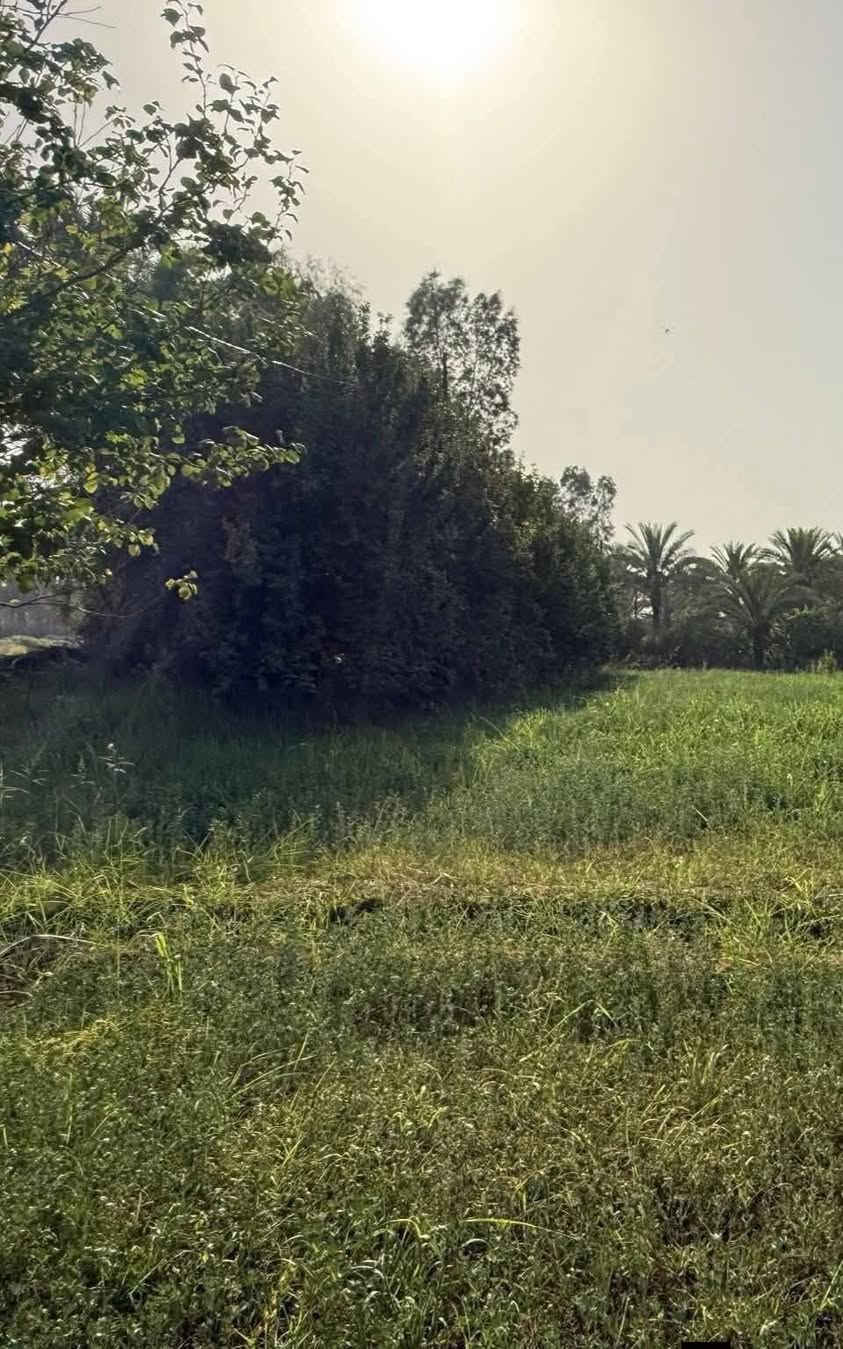 سلام عليكم دوانم ملك طابو زراعي سند ٢٥ تحويل بسم المشتري مباشر قبل لا تسلم فلس نفتحلك بيان 
دوانم تصلح للاستثمار العقاري او مزارع تئجير او فلل شخصية  واصل جميع الخدمات ماء كهرباء تبليط اناره شوارع ١٠ م 
الوجه ٥٠ والنزال ٥٠ و اكو ٢٥ الوجه والنزال ١٠٠ 
حسب طلبك واجهات متعدده للاستفسار اتصل او راسلني واتساب واشرحلك عنهن والاسعار مناسبة 
*********** واتساب 
       *********** واتساب
