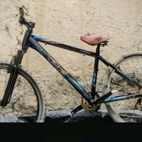 باسكل • أصلي • الصدر الثالث