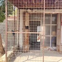 الحواسم • ٢٠٠م • محل