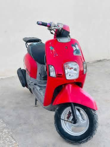 البيع ماكس بوليس كفاله عامه من كلشي مكان بابل مركز مدينه ‏‪***********‬‏
