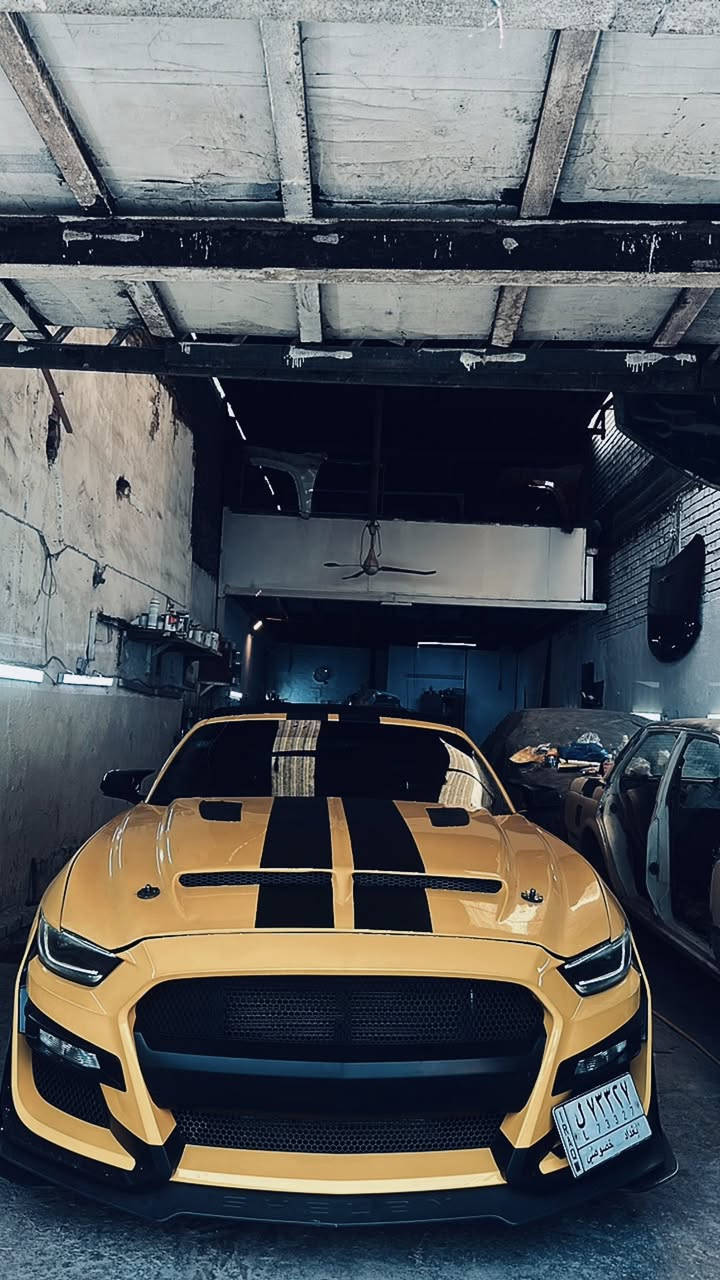 صلو على محمد
فورد موستنك ايكو بوست 2017💛
سيارة
بيه مكينه مال 2019 بل جيس شادهه
من ايمن جيتي  سيارة عليه هواي اضافات
بجم شيلبي بنيد سيرفيني سبايدر جيتي سيارة عليه نانو سيراميك قبضة كير عادي مسطره مغلفه فورجد ✅
ادامة محرك قبل يومين مسويه تخم تاير ويل 20 تو سايز  تشغيل عن بعد سيارة توضيح من عده الدركة الكاربو فايبر 
شاشة جبيرة ع وضع الشركة
حادثة موضح بل صوره سياره مبدل جاملغ مطابق رقم الشاصي ولون  
مكان السيارة بغداد 
***********
خابرني وتدلل ممتواجد ع الفيس 💛
