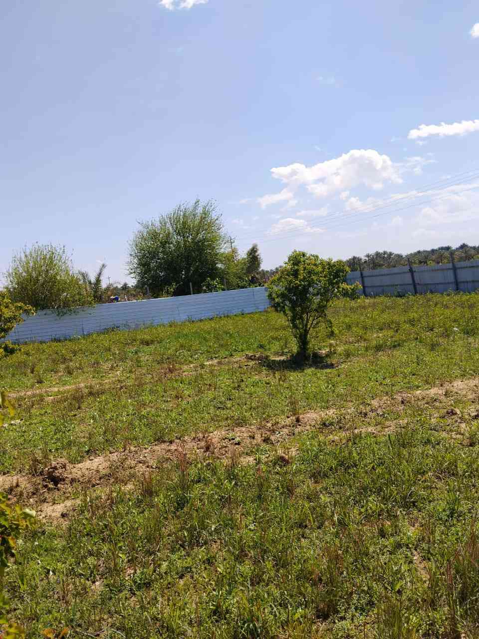 1100 ركن على شارعين كامل خدمات من كل النواحي كهرباء ماء اسله ماء سقي من نهر دجلة مباشر طابو زراعي سند ٢٥  تحويل مباشر بائسم المشتري وليس اقرار محكمة 
مسيجه بل كامل العنوان بغداد الراشدية سعرها ٦٥ وبيها مجال 
900 متر طابو زراعي سند ٢٥ تحويل مباشر بائسم المشتري وليس اقرار محكمة 
سعرها 50  وقابله للتفاوض  
***********
***********
