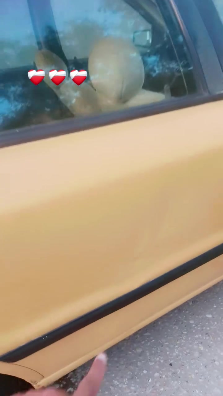 سمند مديل ١٠ مكفوله من ضربه وصبغ وتبديل مكينه كير حداديه تبريد تخم تاير سنويه لل٣٠ مصفره هيئه وغرامات ماعليه ولا ربع السعر٢٩وبيه مجال حق الجيه مكاني دوانيه الشاميه ***********
