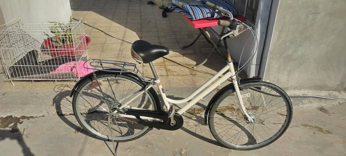 للبيع عبدحليم بناتي كير مصبوغ سعر 85بي مجال


**إذا كنت صاحب هذا الإعلان وتريد حذفه لأي سبب، رجاءا أرسل رسالة إلى الدعم الفني**