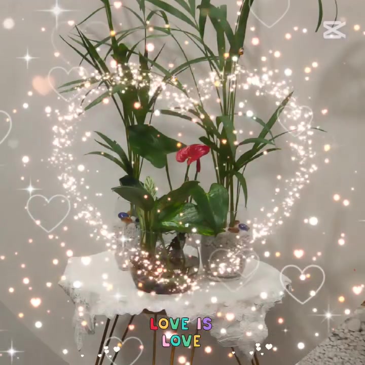 جمال النباتات مو بس بشكلها… حتى هدوءها يريح الروح ✨🌱”


**إذا كنت صاحب هذا الإعلان وتريد حذفه لأي سبب، رجاءا أرسل رسالة إلى الدعم الفني**