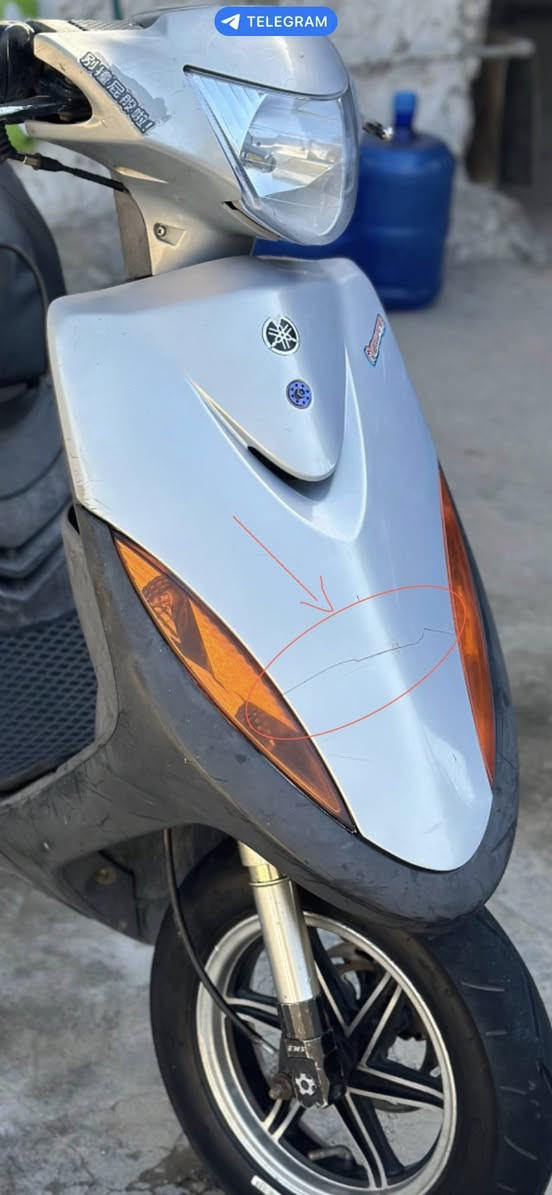 كفرات مراوس بغير لون لو للبيع  بيهن بس فطر بل بجم اصليات مال رمبه


**إذا كنت صاحب هذا الإعلان وتريد حذفه لأي سبب، رجاءا أرسل رسالة إلى الدعم الفني**