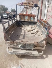 الستوته • شغاله • أوراق نكرة