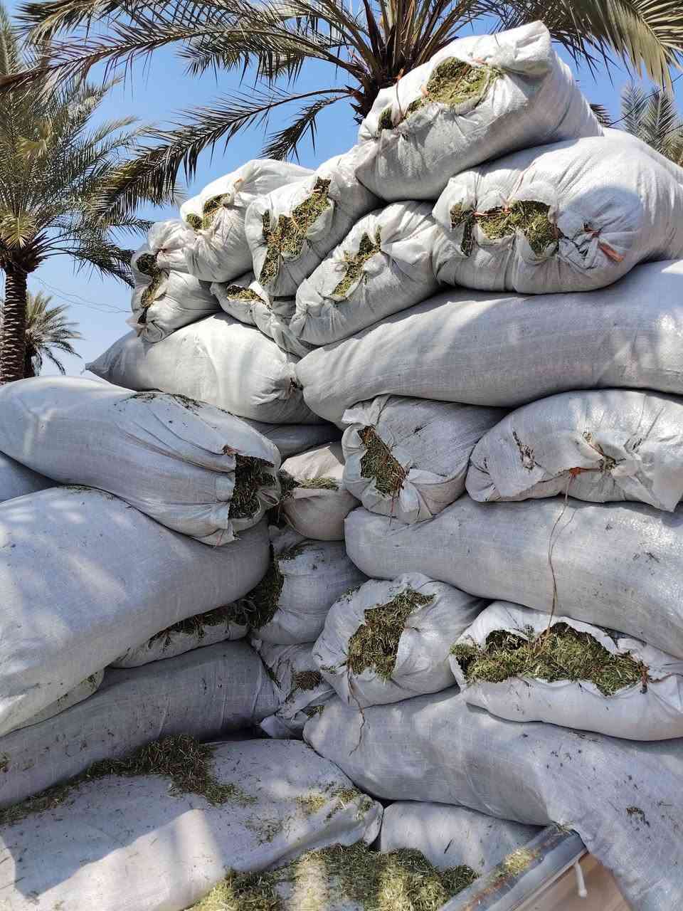 السلام عليكم يوجد تبن جت مال سنه حصد جديد  درجه اولى مكاني بابل الحمزه الغربي ***********
