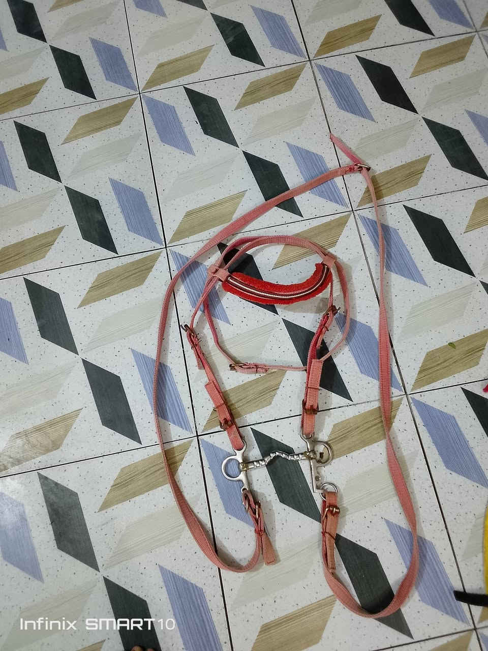 غراض خيل للبيع
لباده بديل السرج  
اللجام  
خاص


**إذا كنت صاحب هذا الإعلان وتريد حذفه لأي سبب، رجاءا أرسل رسالة إلى الدعم الفني**