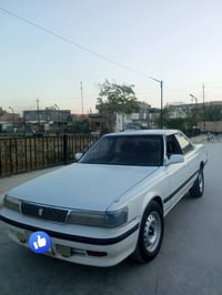 شيزر • ١٩٩١ • بدون حادث