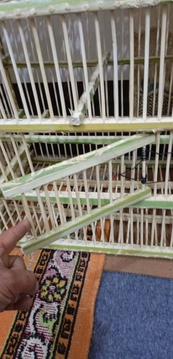 سلام عليكم ورحمة الله وبركاته
متاح اقفاصه بلابل تمر
شغل ايد الأخ  أبو أحمد سامان جبار 
 مختلف الأسعار اكو ب 10  و 15 و 20  كلشي وبسعره  عنوان ناحيه جباره ***********   جمله والمفرد
