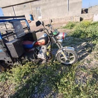 ستوته • بليت • جلولاء