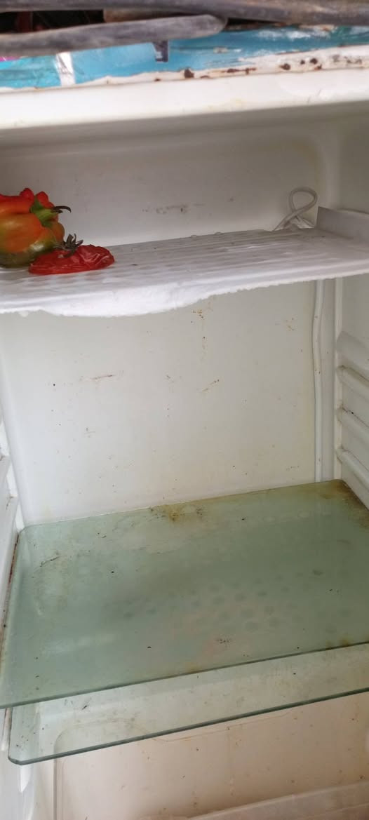 ثلاجه البيع صغيره مال كاسات ماي اجبان يعني مفيده   اب٤٠الف  بيها مجال شي قليل شرط اشغل تفحص يله تاخذ


**إذا كنت صاحب هذا الإعلان وتريد حذفه لأي سبب، رجاءا أرسل رسالة إلى الدعم الفني**