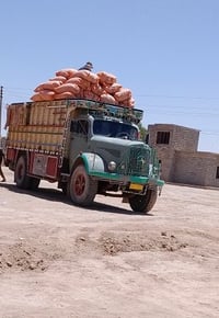 محرك بادي • رقم إنكليزي • تل عبطه