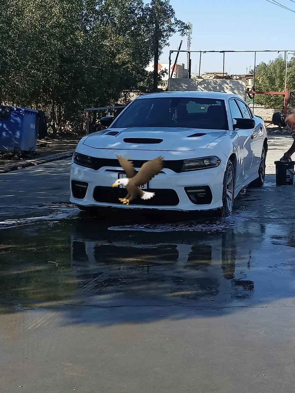 بنيد جارجر 16  قيم واخذ جلخ ما بي ***********
