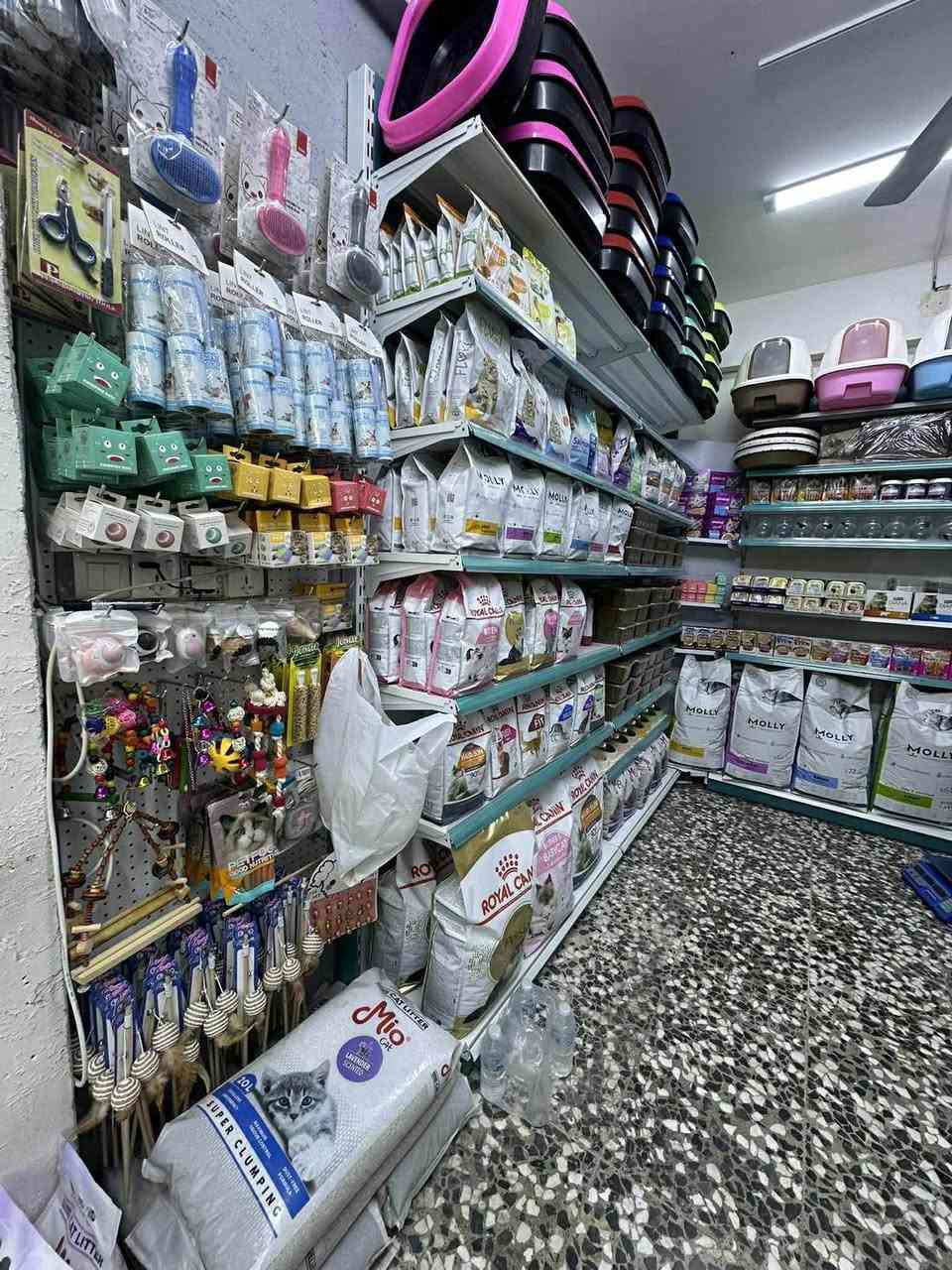 اليف ستور – كل ما تحتاجه قطتك 
محل متخصص في مستلزمات القطط والكلاب والطيور
✔️ طعام – رمل – ألعاب – فيتامينات

اسعار مناسبة +توصيل مجاني داخل العامرية 
والمناطق المجاوره 3 الف 

العنوان العامرية شارع جامع الحسنين 
قرب اسواق اثير العاني 

‏‭0771 793 1191‬

https://www.facebook.com/share/1DGS7mgT9W/?mibextid=wwXIfr
