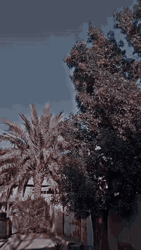 سلام عليكم دراجه بطه للبيع سعر 110 عوزه بوشه وبستم المكان حله الثوره الرقم ***********
