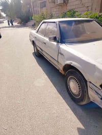 مراوس • مطلوب • مشتري