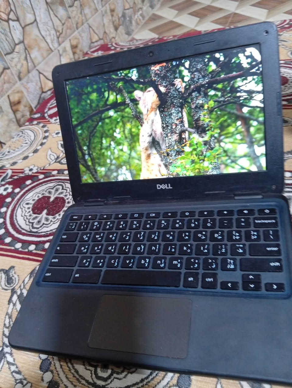 لابتوب دل نضيف كلش ب75بي مجال


**إذا كنت صاحب هذا الإعلان وتريد حذفه لأي سبب، رجاءا أرسل رسالة إلى الدعم الفني**