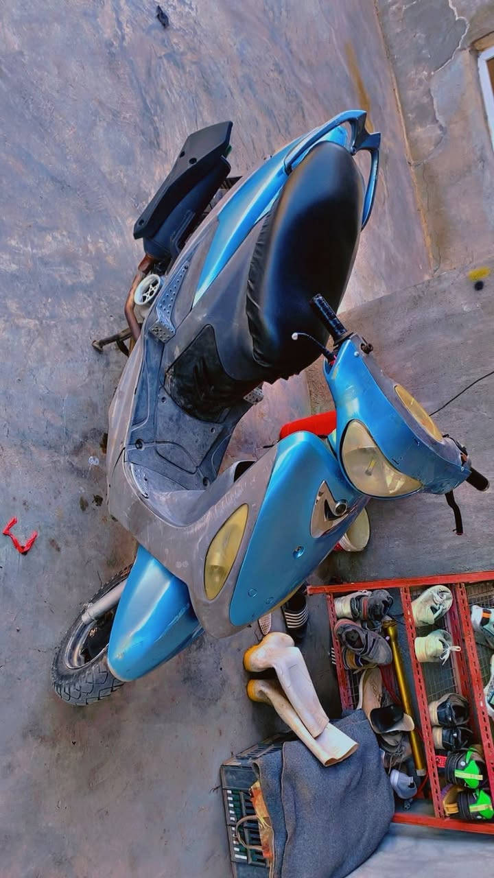 ماكس منغولي للبيع سعر 350 بي مجال مكاني ديالى جلولاء***********
