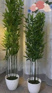 ديكور بيت • حديقة • أسعار مناسبة